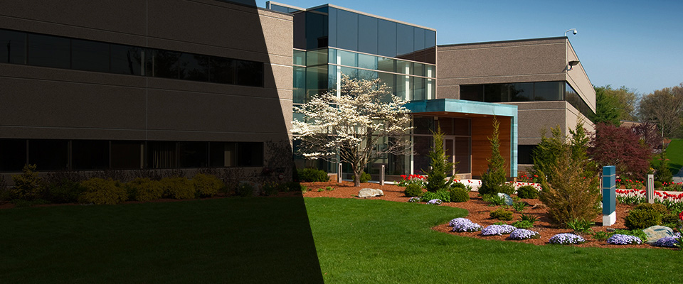 East Wareham Landscapers