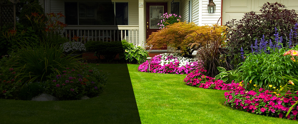East Wareham Landscapers