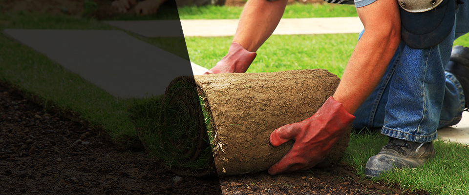 East Wareham Landscapers